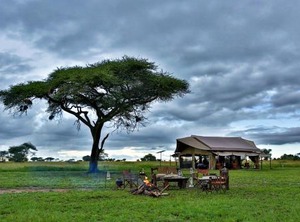 Safari Camp | Serengeti National Park
