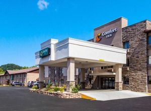 Quality Inn | Tad