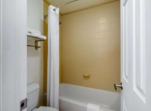 Quality Inn Clute Freeport | Clute