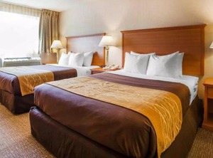 Comfort Inn Kirkland | Totem Lake