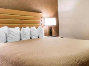 Quality Inn | Warren