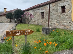 Quinta Dos Mouras | Celorico de Basto