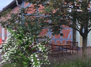The Lüneburg Heath | Goehrde