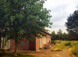 The Lüneburg Heath | Goehrde