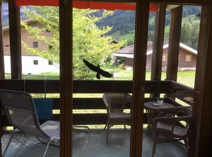 Rothenbach | Lenk