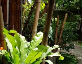 Sairee Guesthouse | Koh Tao