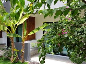 Sairee Guesthouse | Koh Tao