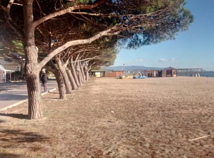 Sardinia Garden Villa | Zeddiani
