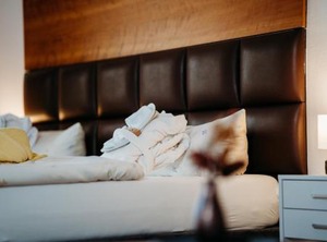 Savoy Hotel Mergentheim | Bad Mergentheim