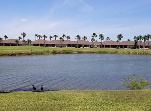 The Of | Laguna Vista