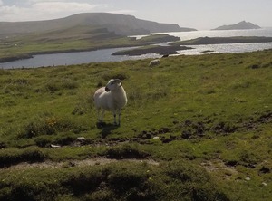 Seagull Cottage Breakfast | Portmagee