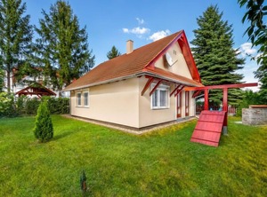Silver Pinea | Balatonmariafurdo