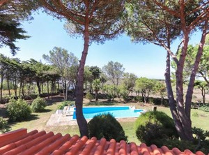 Sintra Villa | Sintra