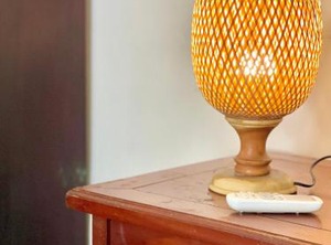 Guesthouse | Daun Penh