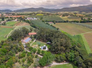 Monolocale Con Soppalco Bibbona | Bibbona