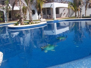 Mi Casa Del Mar Akumal | Akumal