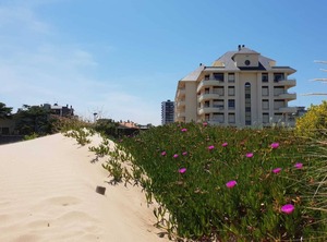 The Beach | Laredo