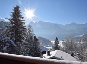 Steirösli Stock | Lenk