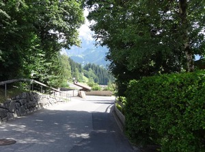Steirösli Stock | Lenk