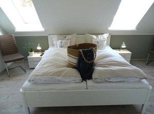 Strand Quartiere Koje | Dahme