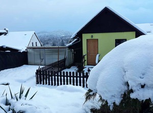 Garden | Jetrichovice