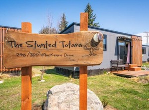 Stunted Totara | Twizel