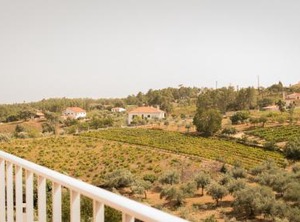 Pinhal | Proenca-a-Nova