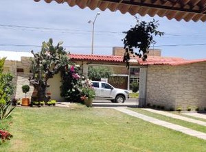 Mágico | Mineral de Pozos