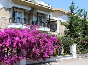 Sultan | Kemer