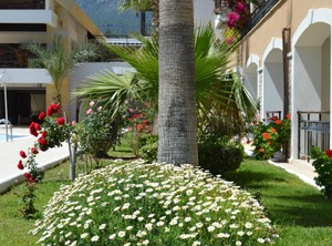 Sultan | Kemer