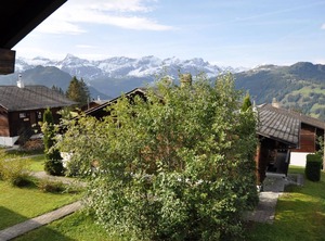 Sumpfbödeli | Lenk