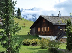 Sumpfbödeli | Lenk