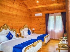 Tea Resort | Bao Loc