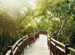 The Grand Bliss | Villa Juarez