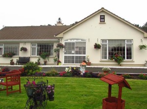 The Yellow B | Ballycastle