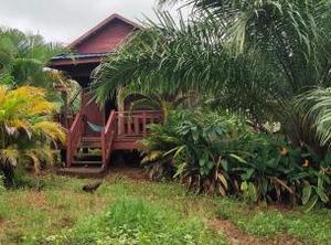 Tree Trails Travel Lodge | Ban Lung