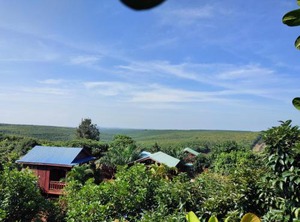 Tree Trails Travel Lodge | Ban Lung