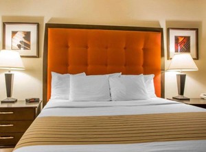 Econo Lodge Inn Suites Stevens Point | Stevens Point