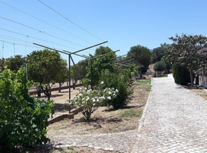 Environment | Sargacal