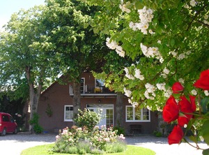 App Fehmarn Ot Bannesdorf | Avendorf