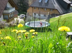 App Todtnauberg | Todtnau
