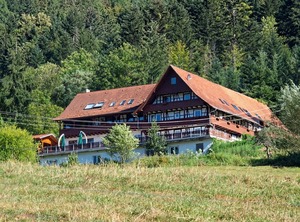 Haus Nilson Gengenbach Lhs | Gengenbach