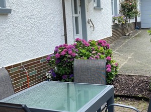 Pension Allebrodt Lennestadt Lhs | Bilstein