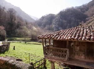 Valdecarzana Apartments People | Vigidel