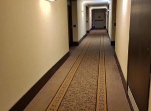 Vercelli Palace Hotel | Vercelli
