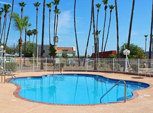 Victoria Palms Inn | Donna