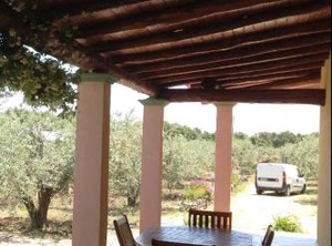 Villa Degli Ulivi E Delle Orosei | Orosei