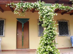 Villa Degli Ulivi E Delle Orosei | Orosei