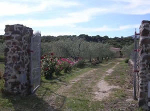 Villa Degli Ulivi E Delle Orosei | Orosei