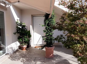 Montegrotto Terme | Montegrotto Terme